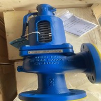 斯派莎克安全阀|斯派莎克SV607DS全启式法兰安全阀说明书